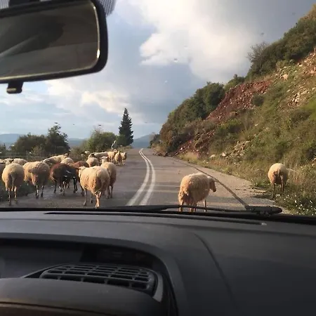 Σπίτι διακοπών Original Stone Cottage, 4km, Wifi, Max 6p Fonissa