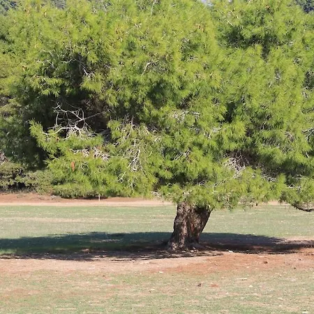 Original Stone Cottage, 4km, Wifi, Max 6p Σπίτι διακοπών
