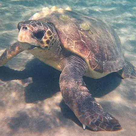 Original Stone Cottage, 4km, Wifi, Max 6p Fonissa