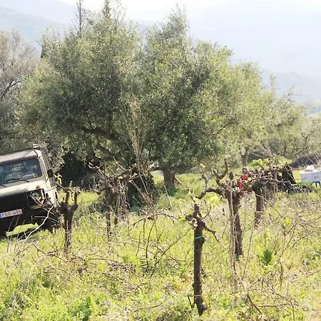 Original Stone Cottage, 4km, Wifi, Max 6p *