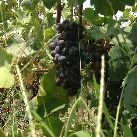 Original Stone Cottage, 4km, Wifi, Max 6p